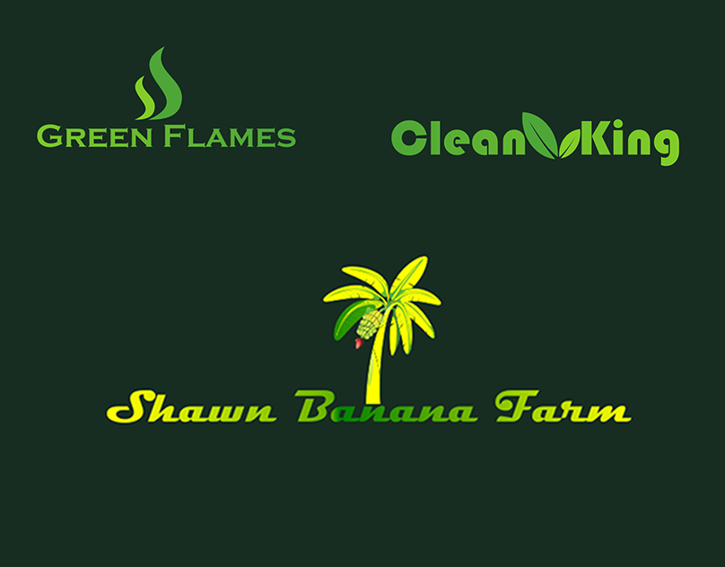 Logo Design for Green Flames, Clean King, and Shawn Banana Farm